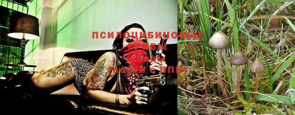 кокаин Алексин