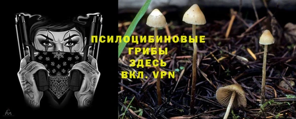 кристаллы Алзамай